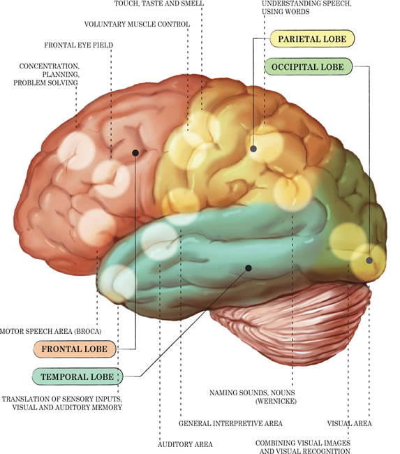 Mendability: Home-Based Autism Therapy - Clinically Proven