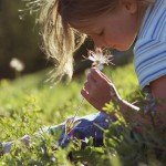 Pick up fresh flowers for Sensory Enrichment Therapy