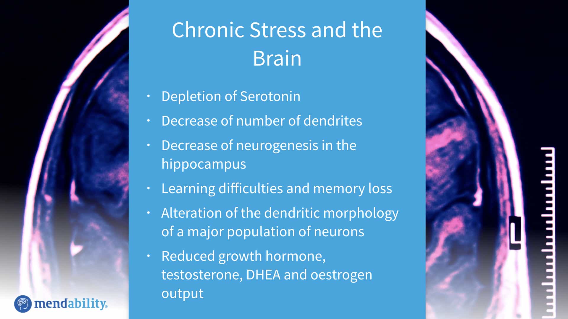 Neurological effects of chronic stress and cortisol