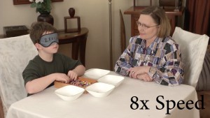 Sample Sensory Enrichment Game with Mendability466